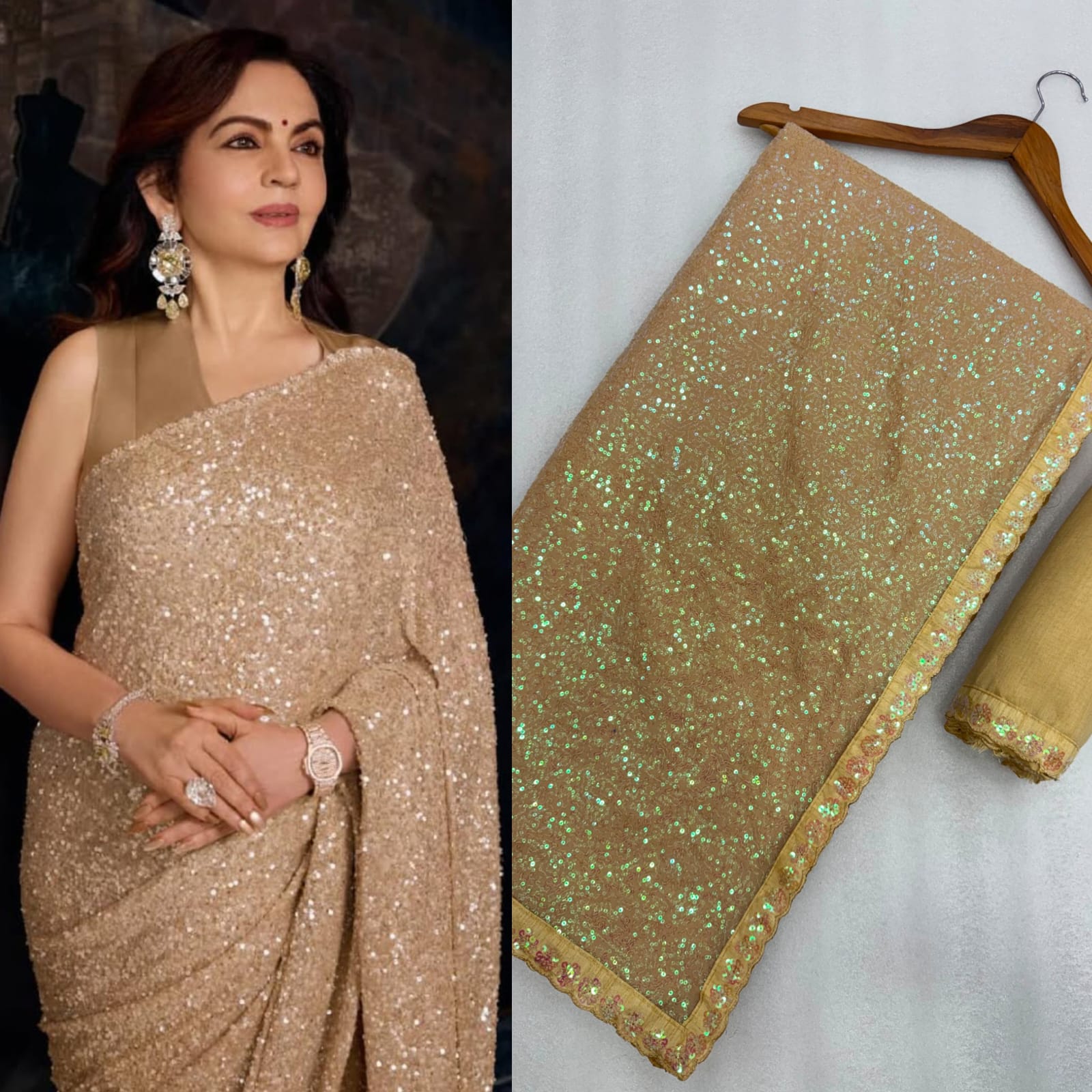 Ishanika Sequins Saree 2.0